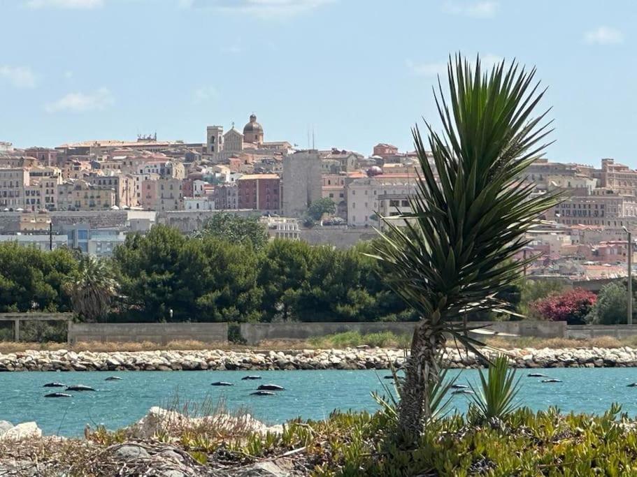 Un Passo Dal Mare E Dalla Citta. Cagliari Esterno foto