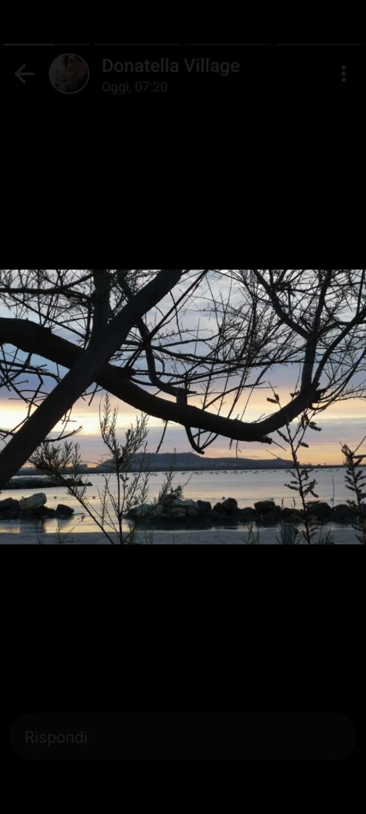 Un Passo Dal Mare E Dalla Citta. Cagliari Esterno foto